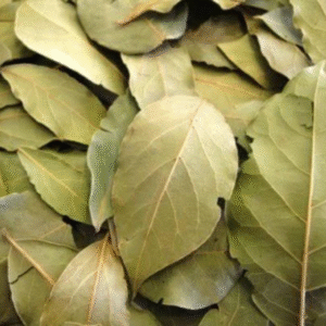 kidney beans organic