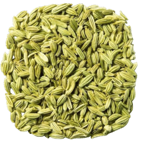 kidney beans organic