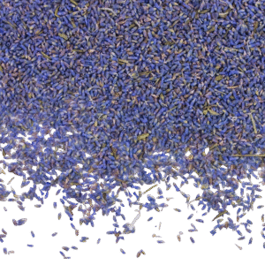 kidney beans organic