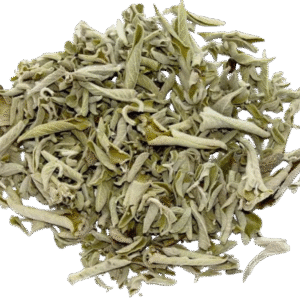 kidney beans organic