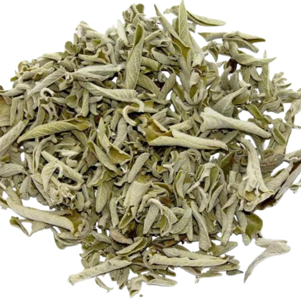 kidney beans organic kidney beans organic